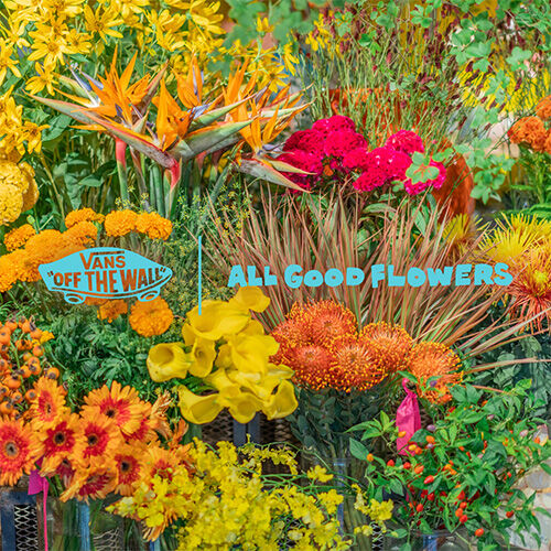 VANS x ALL GOOD FLOWERS 