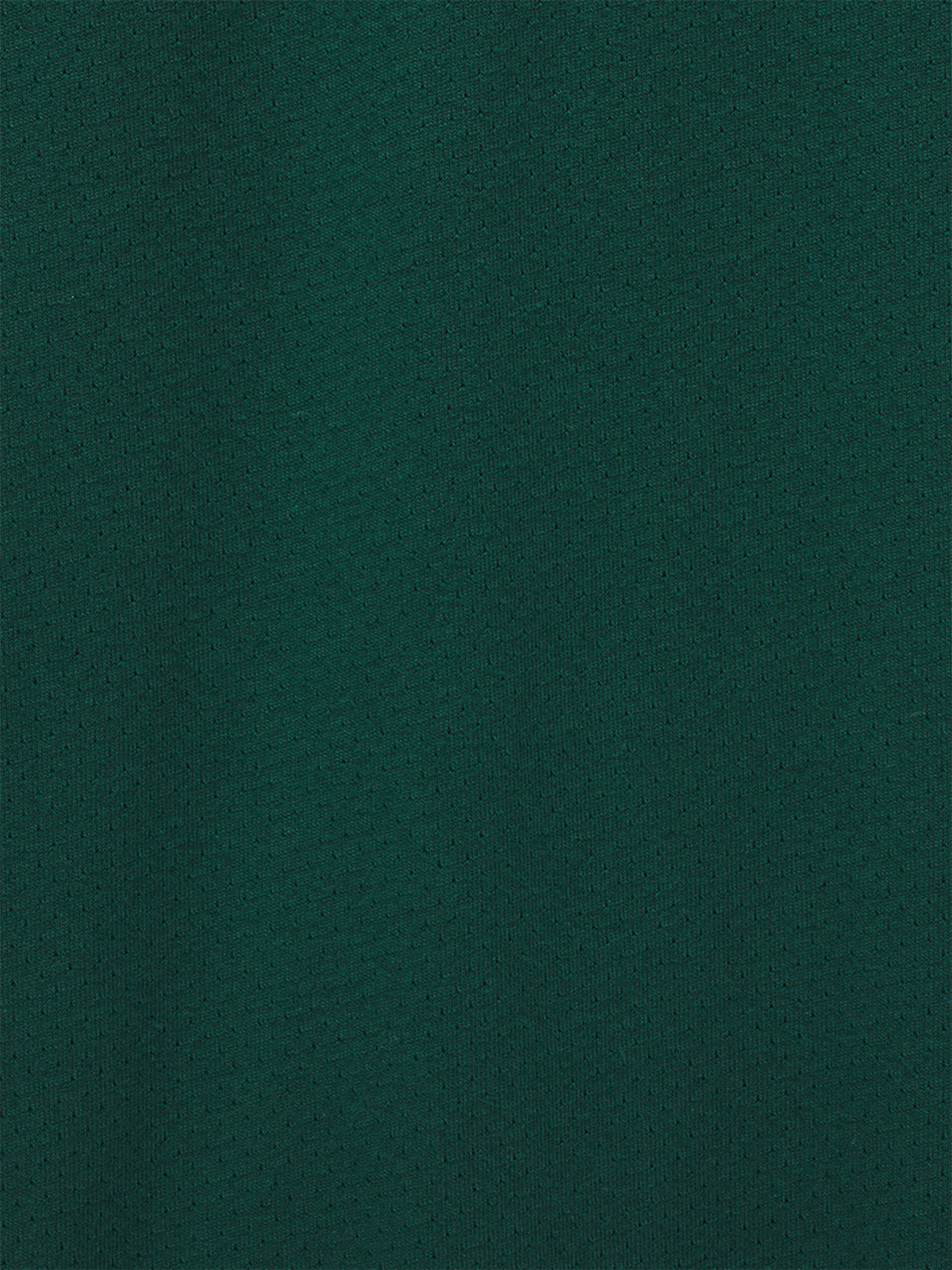 スケート メッシュポロ image number 5