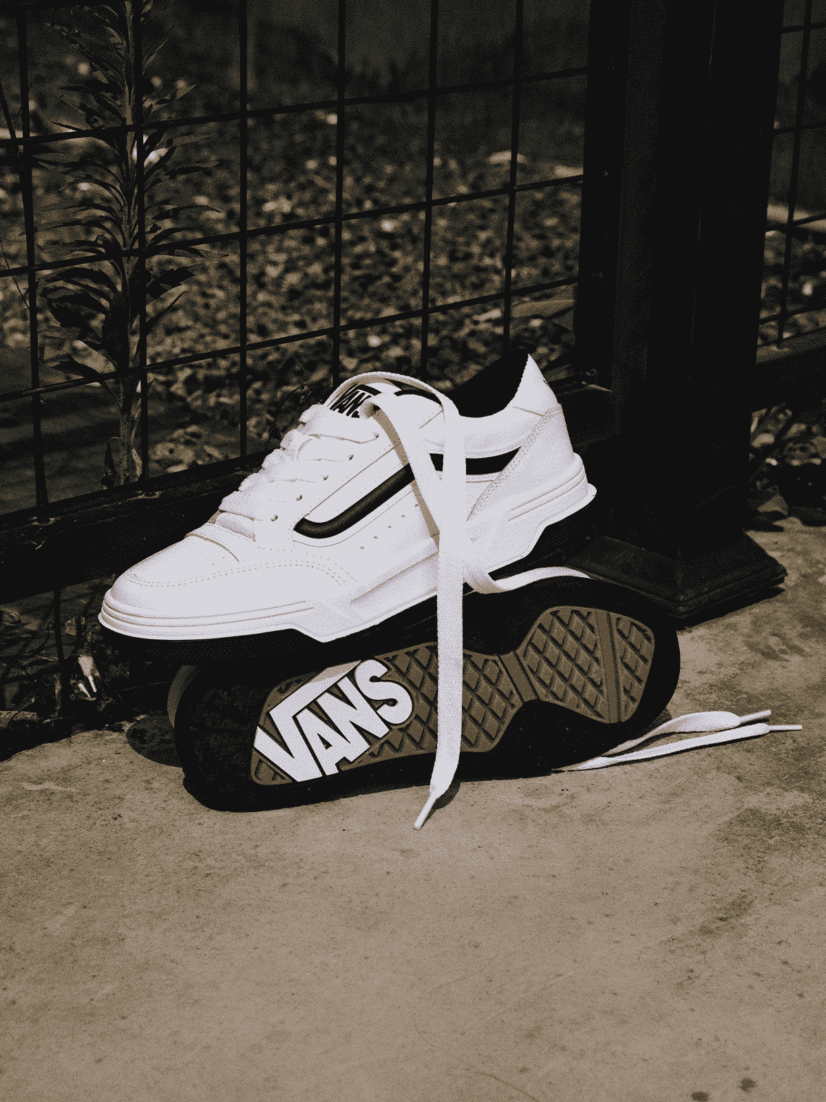 ハイレーン| VANS（ヴァンズ）公式ストア