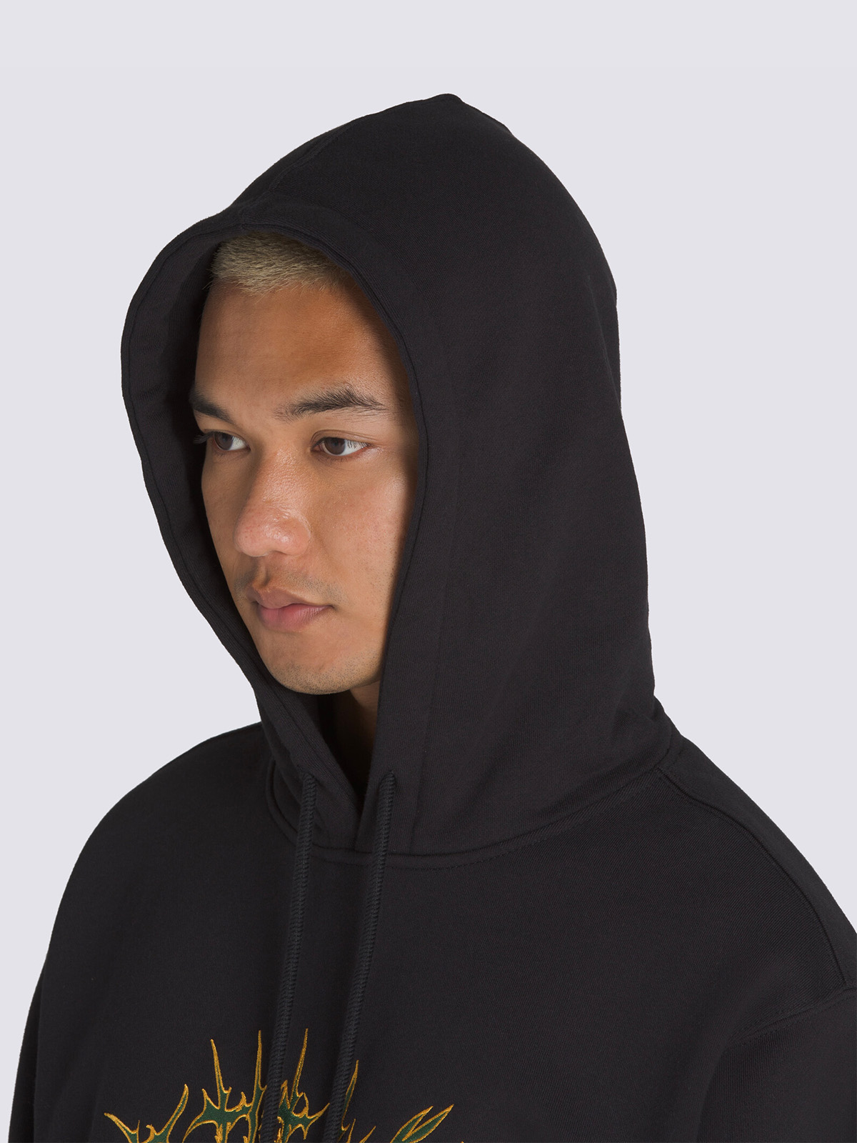 METAL ARCH プルオーバーフーディー| VANS（ヴァンズ）公式ストア